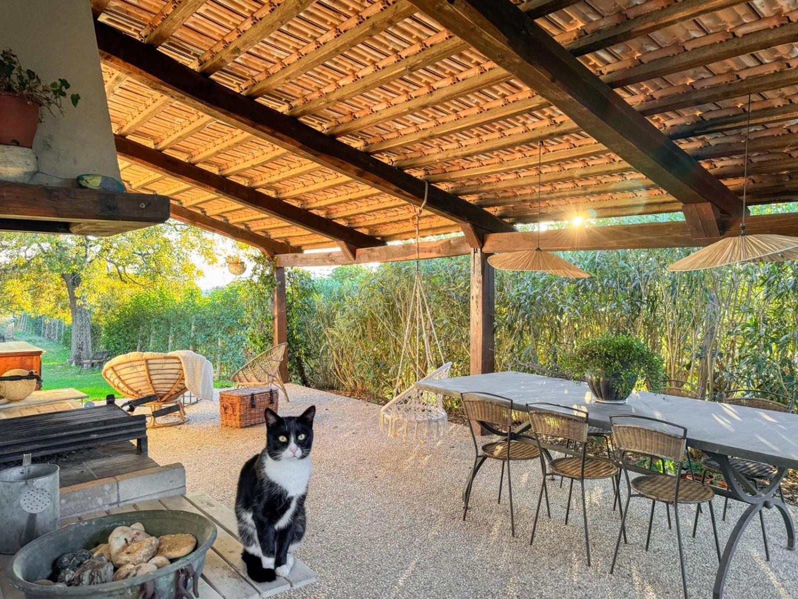 Casale Le Brecce B&B Otricoli Buitenkant foto